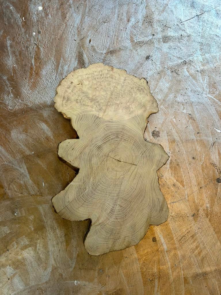 Acacia Burl 45 cm, Huis en Inrichting, Ophalen of Verzenden, Zo goed als nieuw, Glas of Kopje