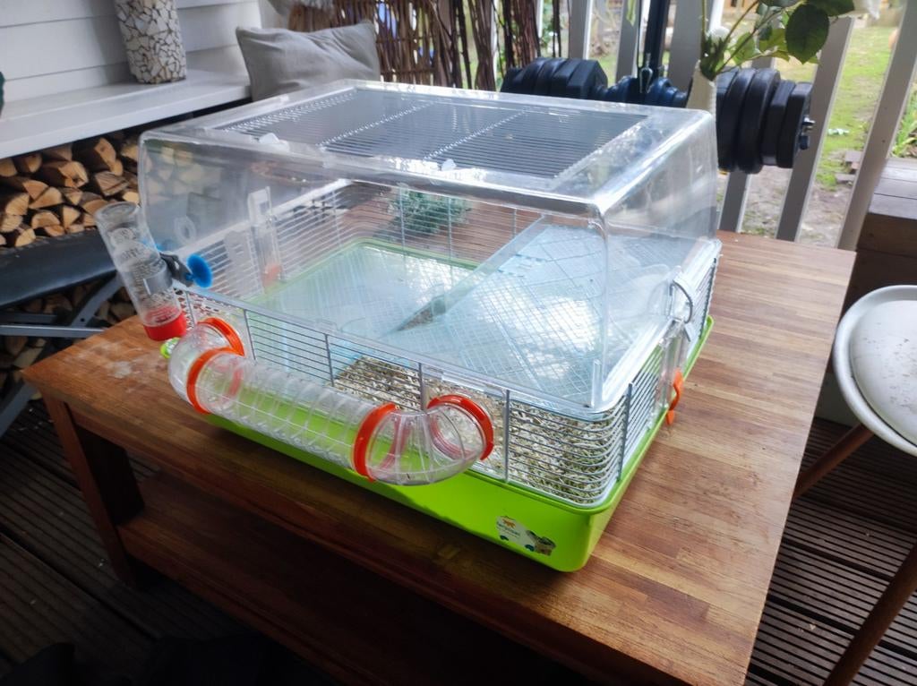 Kooi voor Hamster, ratten etcetera, Kooi, Minder dan 75 cm, Zo goed als nieuw, Cavia