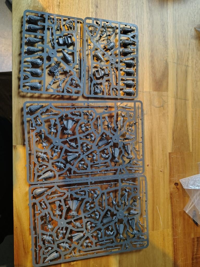 warhammer aos vanari auralan wardens, Hobby en Vrije tijd, Wargaming, Ophalen of Verzenden, Nieuw, Warhammer