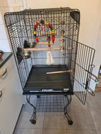 Papagaai  kooi. 134.  Hoogte.      53.  Breed.     53 deep, Ophalen of Verzenden, Metaal, Vogelkooi