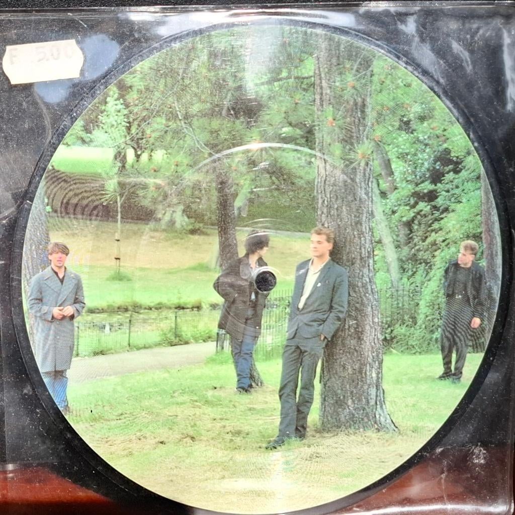 Echo & the Bunnymen picture disc 7", Ophalen of Verzenden, Zo goed als nieuw, Overige formaten