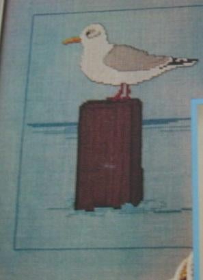 Borduurpatroon  Zeemeeuw  nr 5037, Verzenden, Nieuw, Handborduren, Patroon