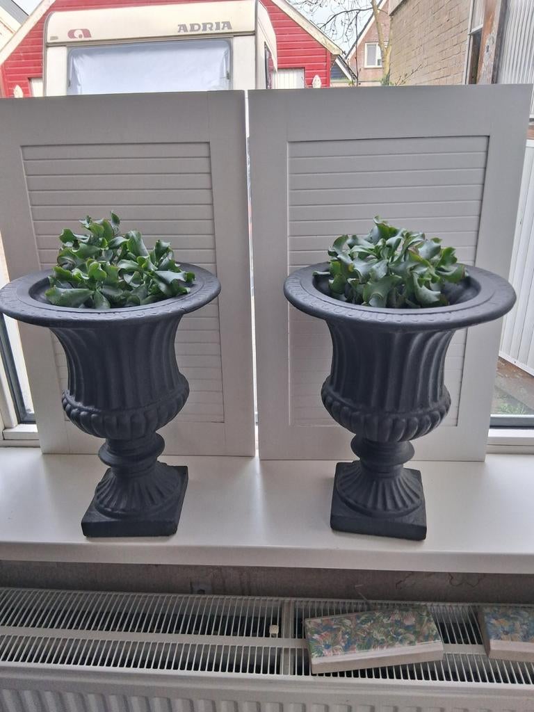 Prachtige  louvre bloempotten, Tuin en Terras, Tuinvazen, Ophalen of Verzenden, Zo goed als nieuw