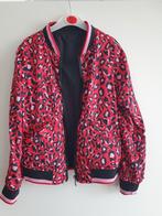 Zomerjas maat 146-152, Kleding | Dames, Ophalen of Verzenden, Zo goed als nieuw, Maat 34 (XS) of kleiner