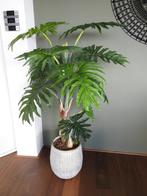 kunstplant Philodendron 135 cm, Ophalen, Zo goed als nieuw, Binnen