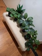 Diverse kunst planten, Ophalen, Zo goed als nieuw, Binnen