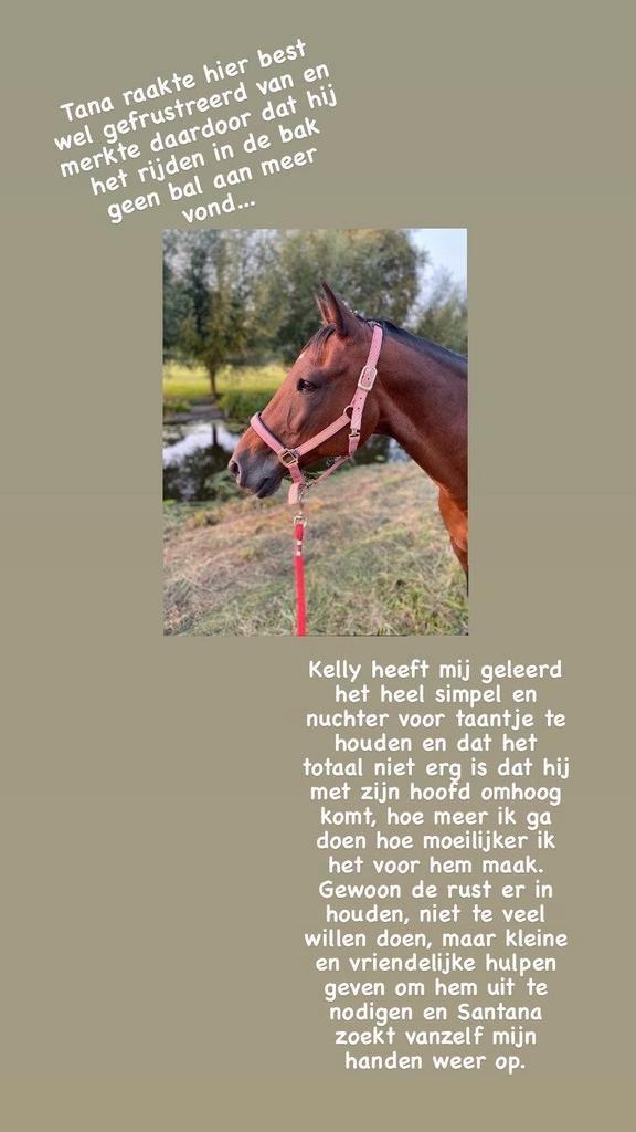 Instructrice paardensport, Dieren en Toebehoren, Paarden en Pony's | Verzorgingsproducten, Zo goed als nieuw, Ophalen of Verzenden