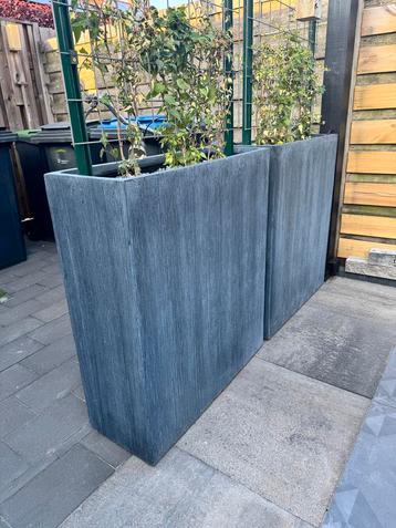 Hoge bloembakken - terras af zetters  beschikbaar voor biedingen