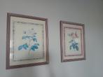 Twee ingelijste bloemenprints, Minder dan 50 cm, Gebruikt, Ophalen of Verzenden, Print
