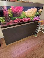 Oase highline 400 opticwite, Dieren en Toebehoren, Ophalen, Leeg aquarium