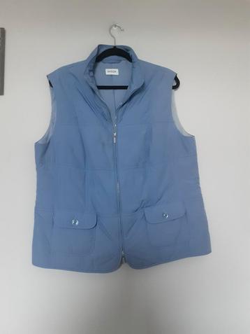 Basler Lichtblauwe Bodywarmer Maat L beschikbaar voor biedingen
