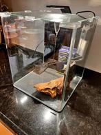 Aquarium 30 liter, Ophalen of Verzenden, Gebruikt