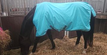 Horseware Amigo  6.9 0 gram regendeken beschikbaar voor biedingen