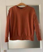 Brique sweater -  maat 38, Kleding | Dames, Ophalen of Verzenden, Zo goed als nieuw, Maat 38/40 (M), Bruin