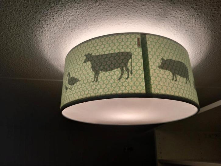 Plafondlamp kinderkamer, Kinderen en Baby's, Kinderkamer | Inrichting en Decoratie, Zo goed als nieuw, Lamp, Ophalen