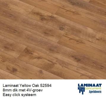 Laminaat Oak Yellow 52594 8mm dik 4V-groev €12,95m2 beschikbaar voor biedingen