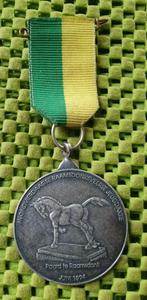 Medaile :  Avondvierdaagse - Paard te Raamsdonk - juni 1994, Postzegels en Munten, Penningen en Medailles, Nederland, Overige materialen