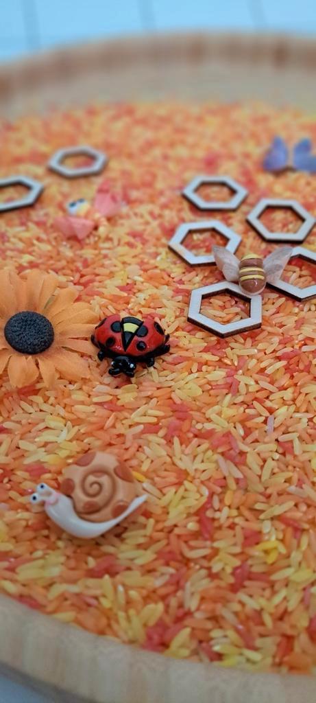 Speelrijst lente, Kinderen en Baby's, Speelgoed | Educatief en Creatief, Nieuw, Ontdekken, Ophalen of Verzenden