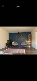 2 Grijze Papasan Stoelen, Huis en Inrichting, Stoelen, Twee, Ophalen of Verzenden, Zo goed als nieuw, Metaal