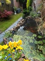 Ik zoek een appartement. Ik bied een commissie voor hulp, Huizen en Kamers