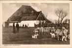 Texelsche Boerderij, Ophalen of Verzenden, Voor 1920, Ongelopen, Noord-Holland