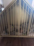 Luxe speciaal gebouwd hondenhok!, Dieren en Toebehoren, 110 cm of meer, 100 cm of meer, Hondenhok, Ophalen of Verzenden