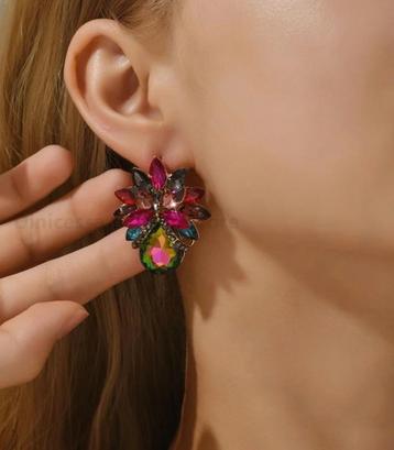 Mooie gekleurde Oorbellen! SUPER CADEAUTIP!  beschikbaar voor biedingen