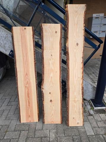 Boomstam plank/schaaldeel voor wandplank of decoratie beschikbaar voor biedingen