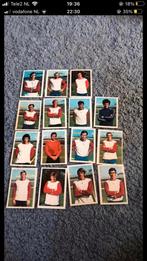 Fc Utrecht panini vanderhout 1971-1972, Ophalen of Verzenden, Zo goed als nieuw, Overige binnenlandse clubs