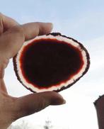 Agaatschijven Bruin Agaat Schijf plak, Ophalen of Verzenden