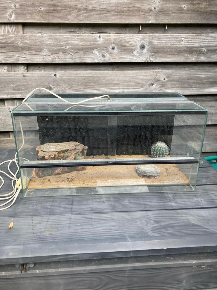 Terrarium, Dieren en Toebehoren, Reptielen en Amfibieën | Toebehoren, Zo goed als nieuw, Terrarium of Paludarium, Ophalen