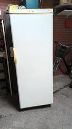 diepvrieskast, Ophalen, Gebruikt, 160 cm of meer, Vrijstaand