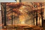 Canvas, Ophalen, Gebruikt, 100 tot 125 cm, Foto of Poster