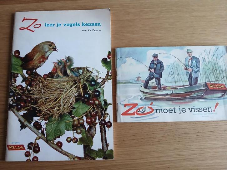 Rizzla geillustreerde vis- en vogelgids - plaatjesalbum, Boeken, Natuur, Zo goed als nieuw, Natuur algemeen, Ophalen of Verzenden
