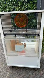Hamster verblijf, Gebruikt, Minder dan 75 cm, Ophalen, Minder dan 60 cm