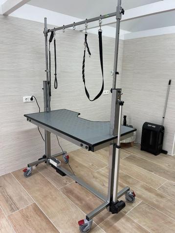 Trimtafel Type 3 half Bone Kamphuis elektrisch verstelbaar beschikbaar voor biedingen