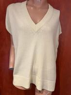 DRYKORN FOR BEAUTIFUL PEOPLE trui XS, Kleding | Dames, Drykorn, Ophalen of Verzenden, Zo goed als nieuw, Maat 34 (XS) of kleiner