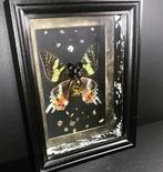 Bearbrick butterfly, Antiek en Kunst, Ophalen