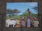 Twee prachtige (professionele) foto's ; Ergens in Afrika, Ophalen of Verzenden
