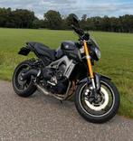 Yamaha MT09, Particulier, Naked bike
