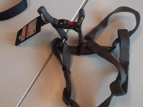 Hondentuig: Friendly Pet NIEUW (A62), Dieren en Toebehoren, Honden-accessoires, Nieuw, Ophalen of Verzenden