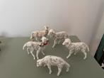 5  vintage Fontanini Italy schapen, Diversen, Ophalen of Verzenden, Zo goed als nieuw