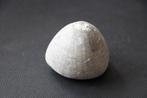 Fossiel zee-egel wereld, Verzamelen, Mineralen en Fossielen, Ophalen of Verzenden, Fossiel