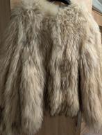 Prachtige wasbeer bontjas van Natures Collection, Natures Collection, Wit, Maat 46/48 (XL) of groter, Ophalen of Verzenden