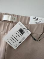 Para Mi broek nieuw XXL, Beige, Maat 46/48 (XL) of groter, Nieuw, Ophalen of Verzenden