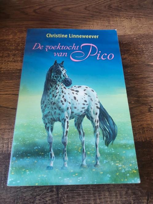 De zoektocht van Pico Christine linneweever, Boeken, Kinderboeken | Jeugd | 10 tot 12 jaar, Zo goed als nieuw, Fictie, Ophalen of Verzenden