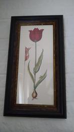 Schilderij Tulp, Ophalen, Zo goed als nieuw