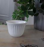 Cactuspotje (nieuw), Rond, Ophalen of Verzenden, Aardewerk, Binnen
