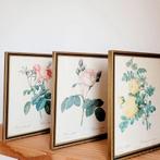 Drie vintage lijsten met botanische print P.J. Redouté, Huis en Inrichting, Woonaccessoires | Schilderijen, Tekeningen en Foto's