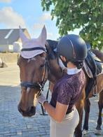 Verzorg/lease pony gezocht, Dieren en Toebehoren, Stalling en Weidegang